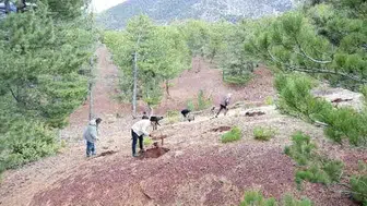 Konyalılar bu habere üzülecek! 11 ilçede o bölgelere girişler sınırlandırıldı