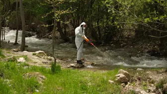 Yağışlar arttı, sivrisinekler çoğaldı: Konya'da seferberlik başladı