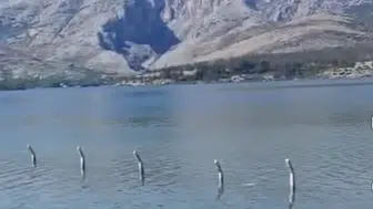 Konya’daki baraj taştı mı? Villaların önü suyla kaplandı