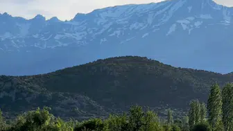 Konya’da doğa mucizesi! Başkan Altay şaştı kaldı