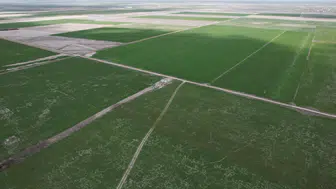 Konya Ovası’nda rekor beklenti! Buğdayda 2,2 milyon ton