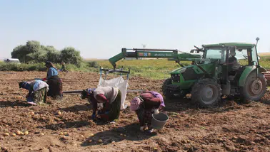 Aksaray’da patates fiyatı tarlada düştü, etikette düşmedi: 10 Liradan 40 Liraya