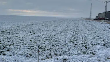 Konya Ovası büyük tehlike atlattı! Don hasarı bekleniyor mu?