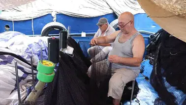 Balıkçılar 1 Eylül'deki yeni av sezonundan umutlu