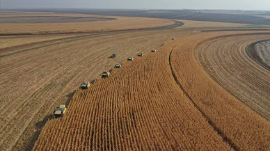 Bakan Yumaklı'dan çiftçilere müjde! Hesaplarınızı kontrol edin...