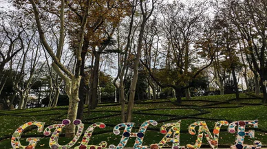 Gülhane Parkı’nda aslında ceviz ağacı yokmuş! Peki, neden şarkısı yapılmış?