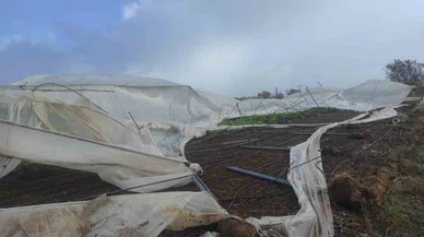 Korkulan oldu! Konya'da fırtına tarımı vurdu...