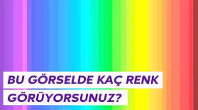 Bu resimde kaç renk görüyorsunuz?