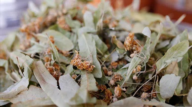 Şifa ararken hastalık bulmayın! Açıkta satılan kış çayları tehlike saçıyor