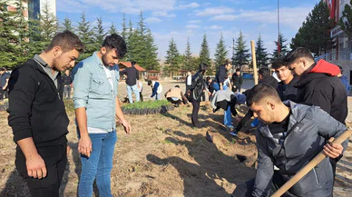 Selçuk Üniversitesi'nden rekor fidan dikimi!