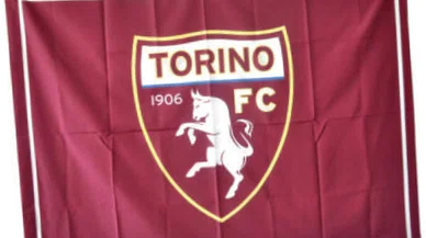 Torino F.C hangi ligde?