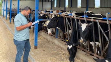 Konya'da hayvancılık işletmelerine tarama!