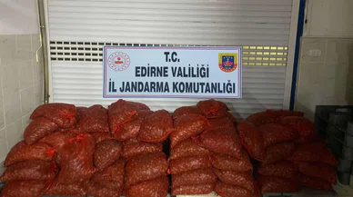 Toplanması ve satışı yasak ürüne el konuldu!