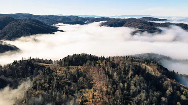 Doğa harikası sis bulutuyla bütünleşti! Eşsiz manzaraya büründü!