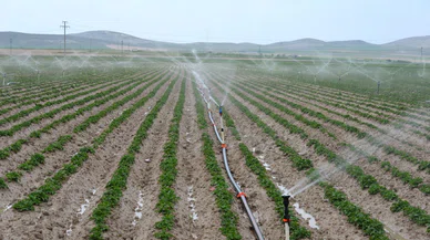 Konya'da tarımın en büyük sorunu için acil çağrı!