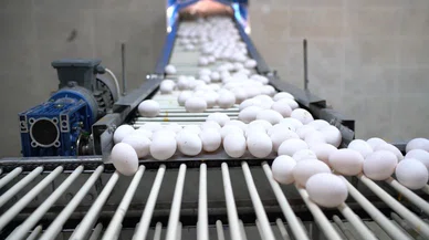 Konya'nın o marketinden alınan yumurtanın içinden çıkan şey dehşete düşürdü!