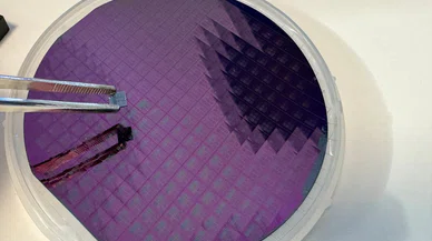 Üstelik dünyaya satılıyor...