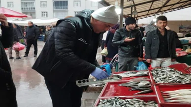 Bakanlık bilim kurulu oluşturdu! Balık ölümleri araştırılacak...