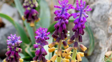 Kitabı ülke genelinde ilgi görüyor