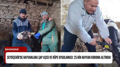 Seydişehir'de hayvanlara şap aşısı ve küpe uygulaması: 25 bin hayvan koruma altında!