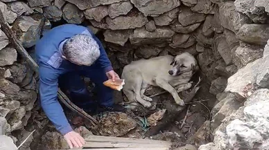 Konya'da Köpek kuyuya düştü!.. Bakın vatandaş nasıl kurtardı!