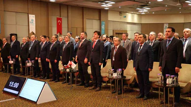 Küçükbaş hayvan potansiyeli yüzde 12'ye ulaştı