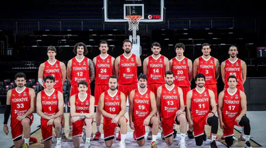 A Milli Takım, İzlanda'yı ağırlayacak