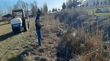 Seydişehir'de sinek ve sivrisinek kabusu bitti! Peki nasıl?