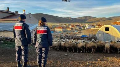 Kaybolan 150 küçükbaş hayvan o teknoloji harikasıyla bulundu!