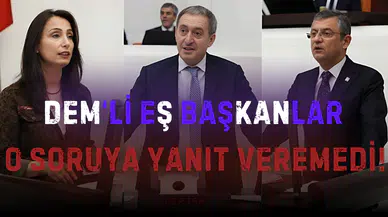 DEM'in Eş Genel Başkanları  o soruya yanıt veremedi!