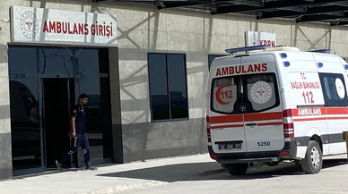 Konya'da talihsiz kaza! Mantar toplarken hastanelik oldu...