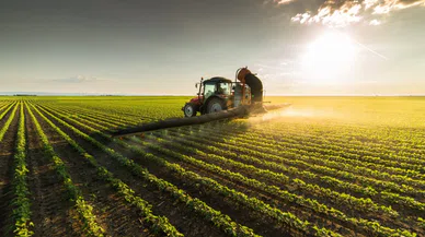 Çiftçilere üretim planlaması eğitimi veriliyor.. Tarım ve Orman Müdürlüğü'nden dev hizmet!