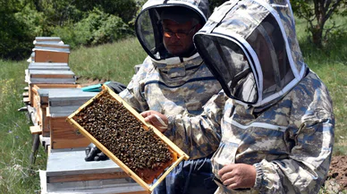 Onlar 1744 rakımlı yerde bal üretiyor...