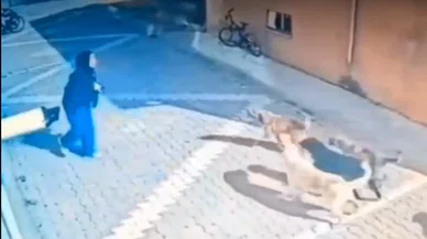 Genç kız canını bakın nasıl kurtardı...