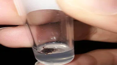 Çok sayıda kişiye yapıştı...