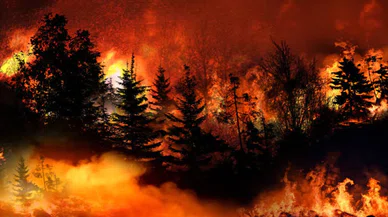 Orman yangınına olayına karışanlara sert ceza...