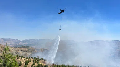Çoban çayı ateşi ormana sıçradı!