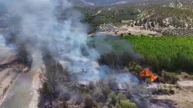 Orman yangını hızlı müdahaleyle kontrol altına alınmaya çalışılıyor!