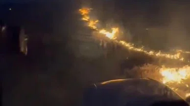 Konya'da kuşlar faciaya neden oldu!