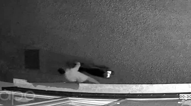 Hırsızlıkta dünya rekoru 8 dakika'da motosikleti çaldılar