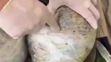 Tren yolcusundan kilolarca uyuşturucu ele geçirildi!