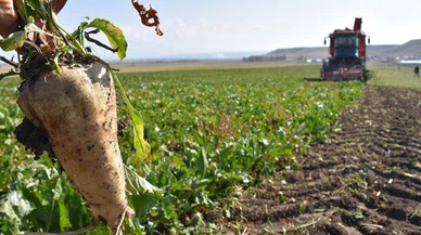 Bakan Yumaklı Konya'da duyurdu!
