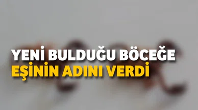 Konya'da bilim dünyasını sallayan keşif! Yeni bulduğu böcek türüne eşinin adını verdi!