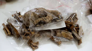 Konya'da "Bebek iskeletleri" bulundu