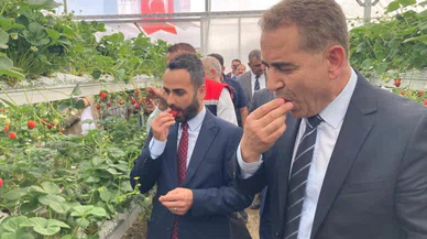 Konya'da çığır açan proje!