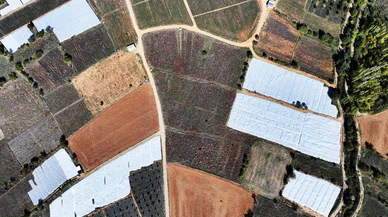 Konya'nın ilk tescilli ürünü Norveç'e kadar gidiyor