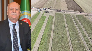 Rekor artış yaşanan üründe Konya zirvede