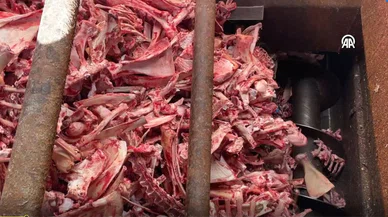 Konya Şeker hayvan kemiklerinden öyle bir şey üretiyor ki!