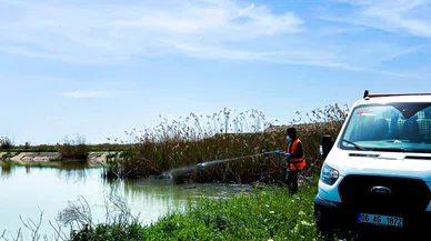 Akşehir'in sineklerle olan mücadelesi başladı