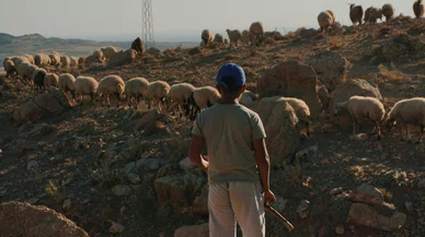 Konya’da Ekili Arazide Hayvan Otlatma Kavgası: 16 Yaşındaki Genç Bıçaklandı